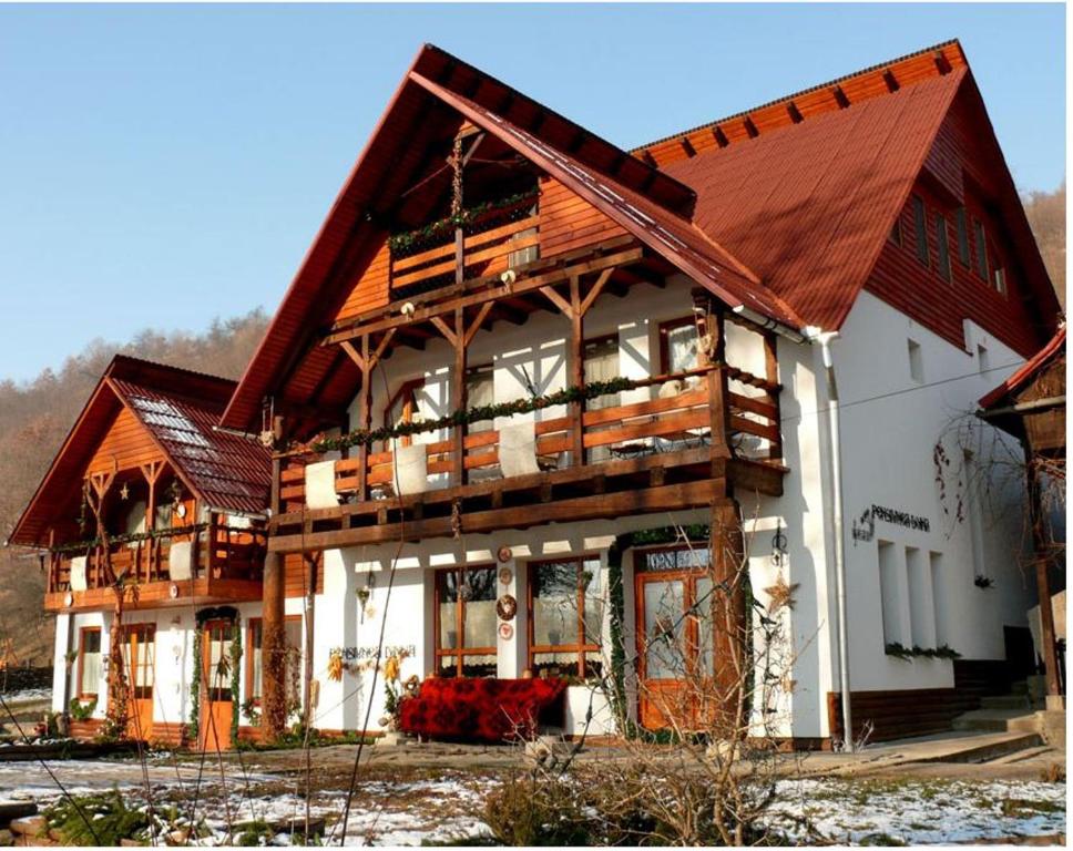 un grand bâtiment avec un toit en bois dans l'établissement Pensiunea Doina, à Vadu Izei