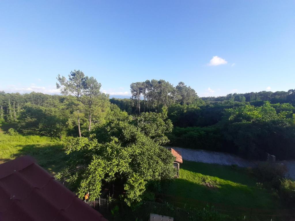 Příroda nedaleko penzionu