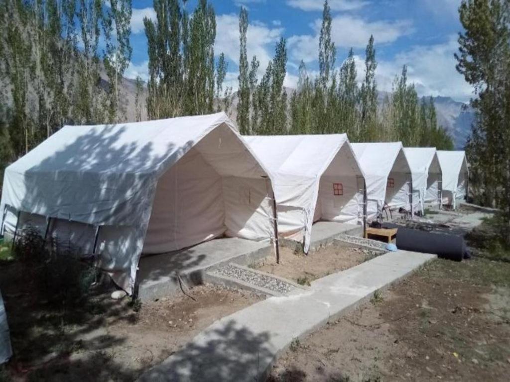 a row of white tents in a field at StayApart at Alpine Ibex Camp, Nubra Valley in Leh
