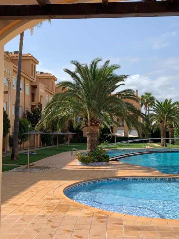 una piscina con palmeras y edificios en Primera línea, parking, wi fi, apartamento Palm Beach, en Denia