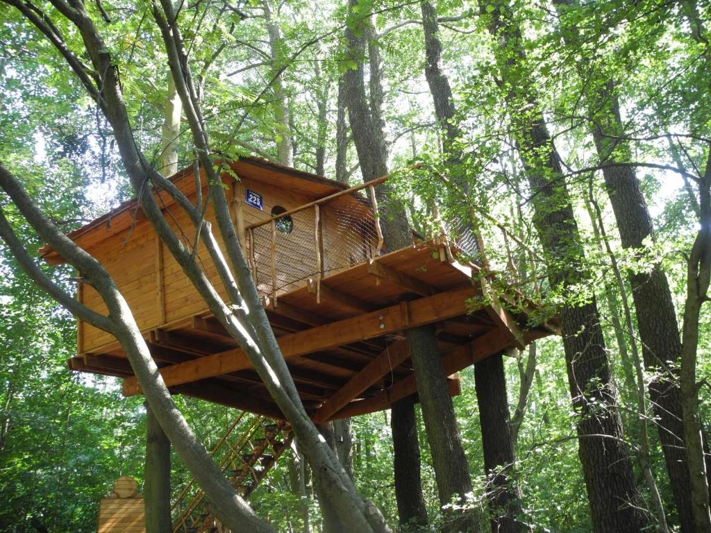 Fotografie z fotogalerie ubytování Treehouse v Brdech v destinaci Bohutín
