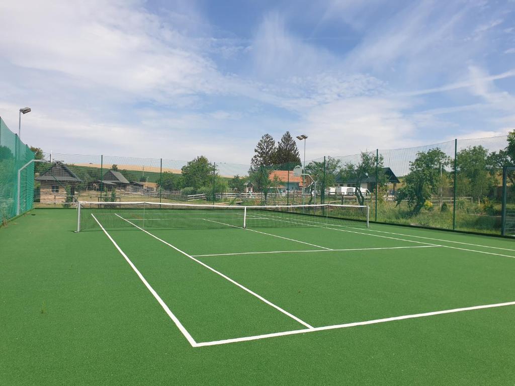 Tenis a/nebo squash v ubytování u Ďurkových nebo okolí