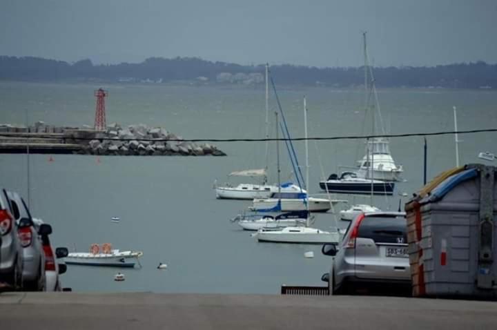a group of boats are docked in a harbor at Punta del Este -Edificio Kennedy Apto 106 in Punta del Este