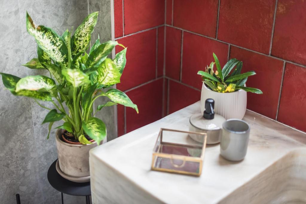 Moon And Stars Athens - Resim 38