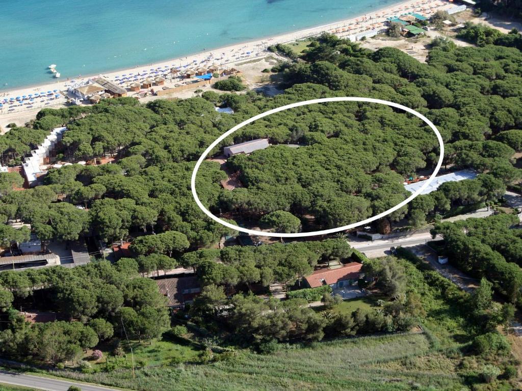 an aerial view of a forest of trees next to a beach at Hotel Villa Nettuno in Marina di Campo