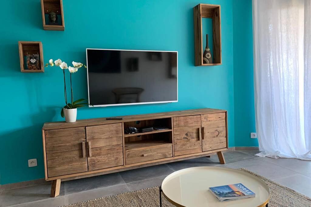 TV a/nebo společenská místnost v ubytování Appartement neuf sur Plage de Calvi Vue Mer