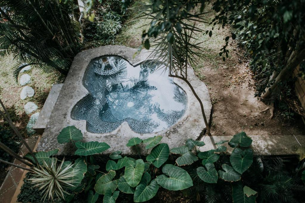 Jardin de l'établissement Hotel boutique Teocalli