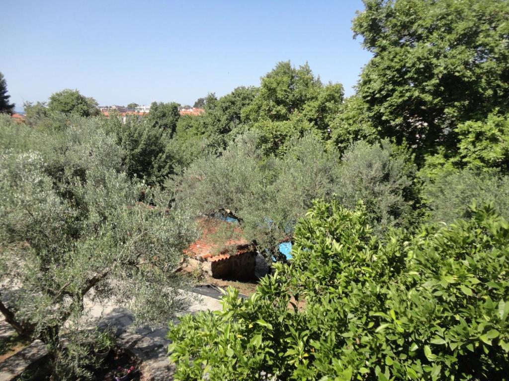 Paesaggio naturale nelle vicinanze dell'affittacamere