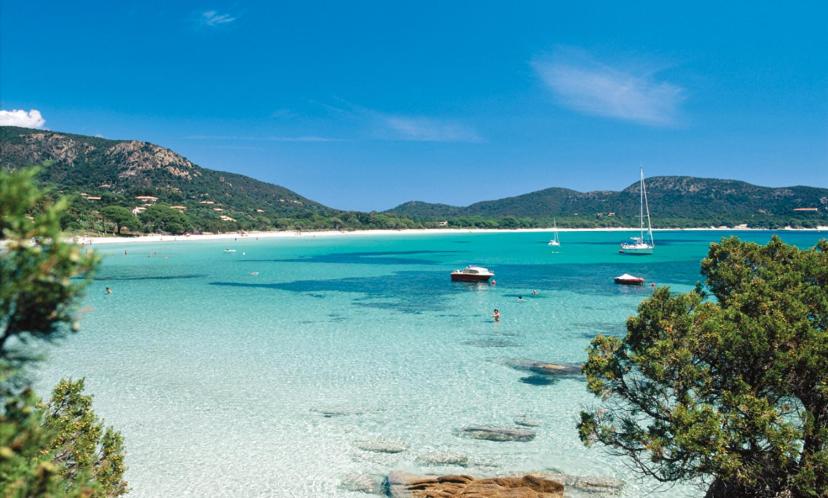 uma vista para uma praia com barcos na água em Suarella em Propriano