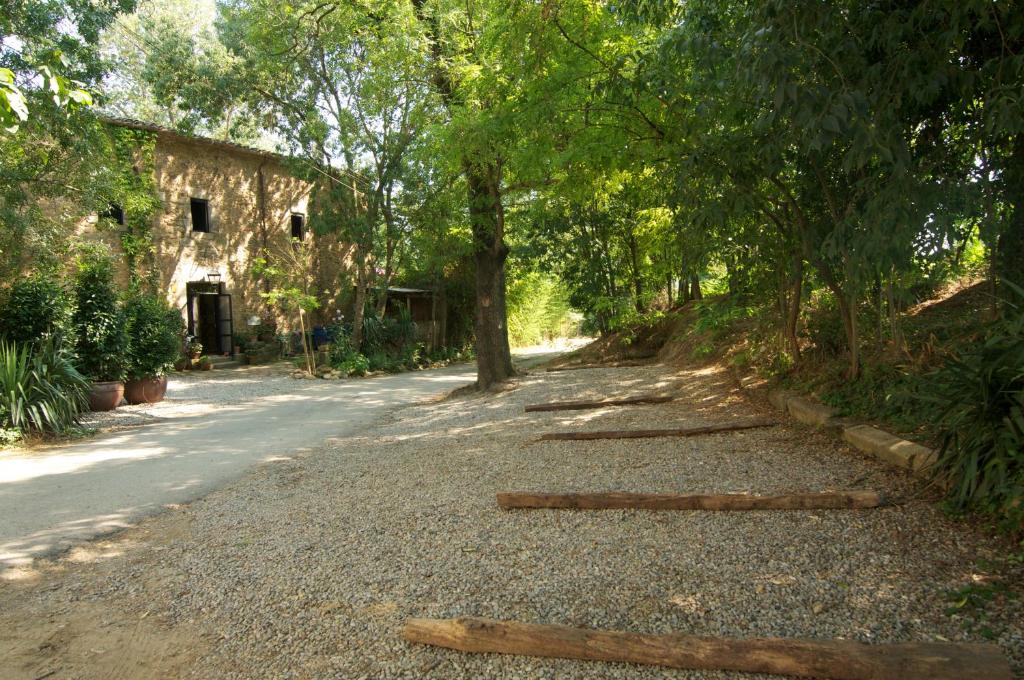 uma estrada com troncos na berma da estrada em Can Portell by 123ole, B&B - Casa Rural em Sant Andreu del Terri