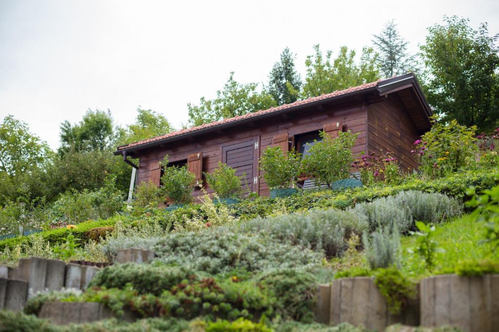 Apartmani Strsoglavec - 19