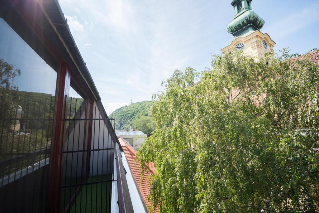 Zahrada ubytování Hotel Orion Várkert