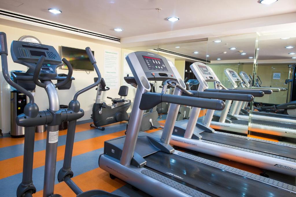A bright cardio gym with treadmills and elliptical machines.