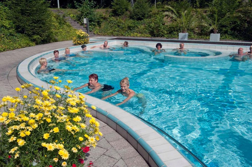 Bazén v ubytování Thermalbad Wiesenbad nebo v jeho okolí