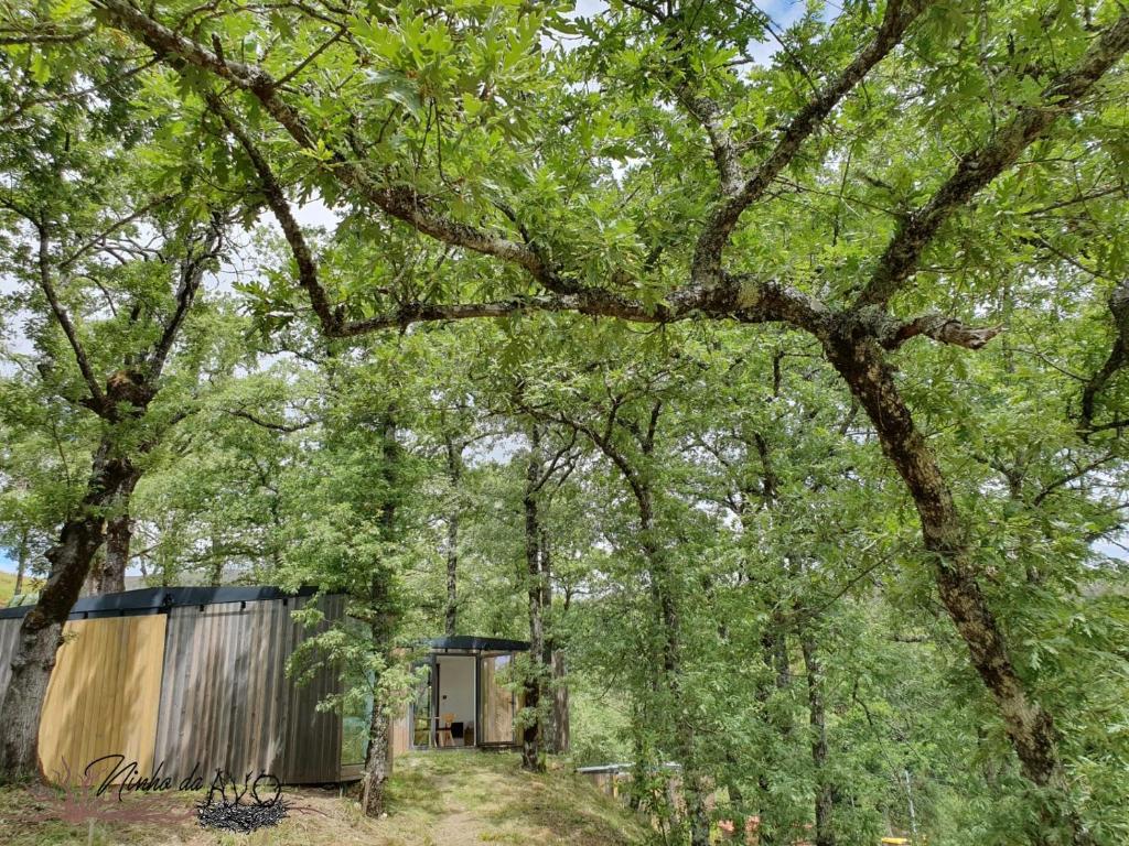 una casa nel bosco con un albero di Ninho da Avó Selvagem a Montalegre