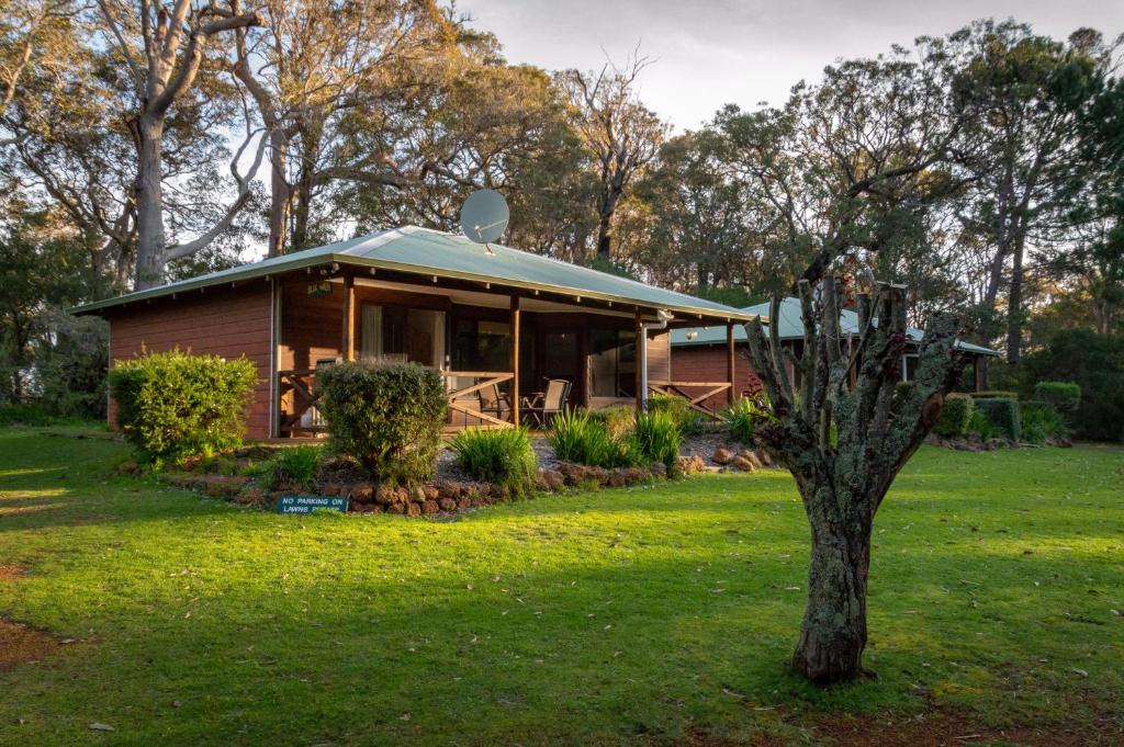 Margaret River Chalets في مارغريت ريفر: منزل في حقل مع شجرة في الفناء