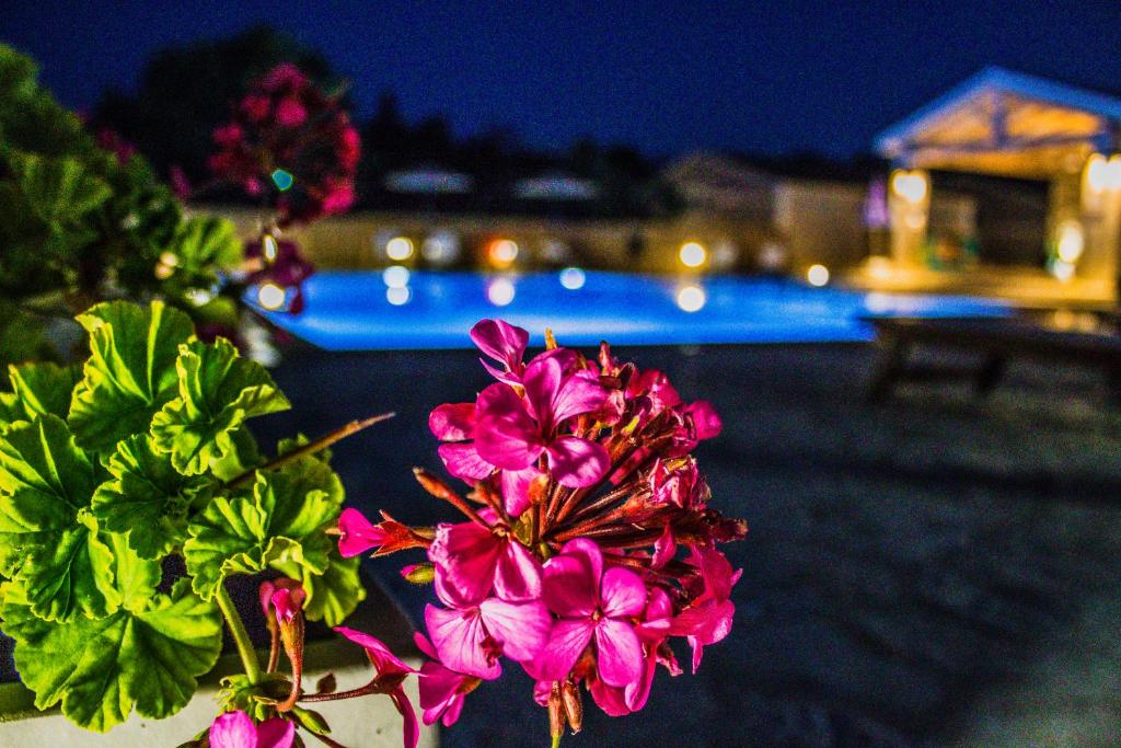 The swimming pool at or close to Astrakeroula Corfu