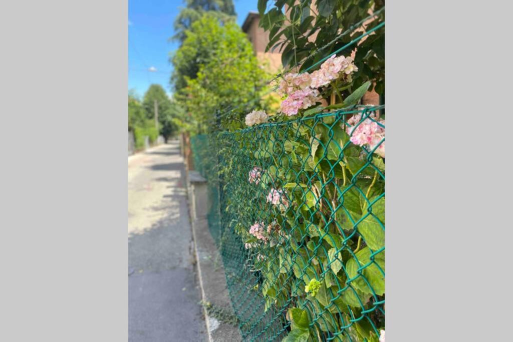 A garden outside House Bologna Stazione Mazzini flat x 2