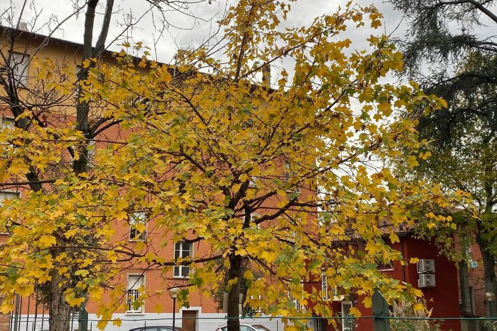 Kép House Bologna Stazione Mazzini flat x 2 szállásáról Bolognában a galériában