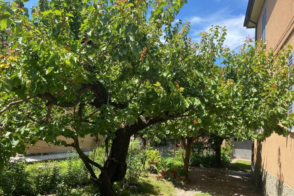 A garden outside House Bologna Stazione Mazzini flat x 2