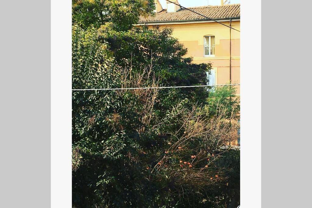 A garden outside House Bologna Stazione Mazzini flat x 2