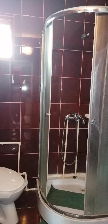 Koupelna v ubytování Etno Apartmani ''Vlaška kuća''