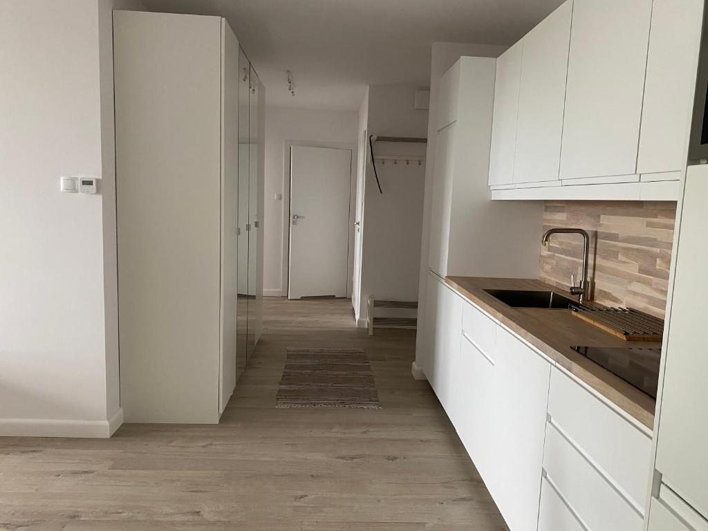Kuchyň nebo kuchyňský kout v ubytování Rodzinny Apartament Platany Centrum