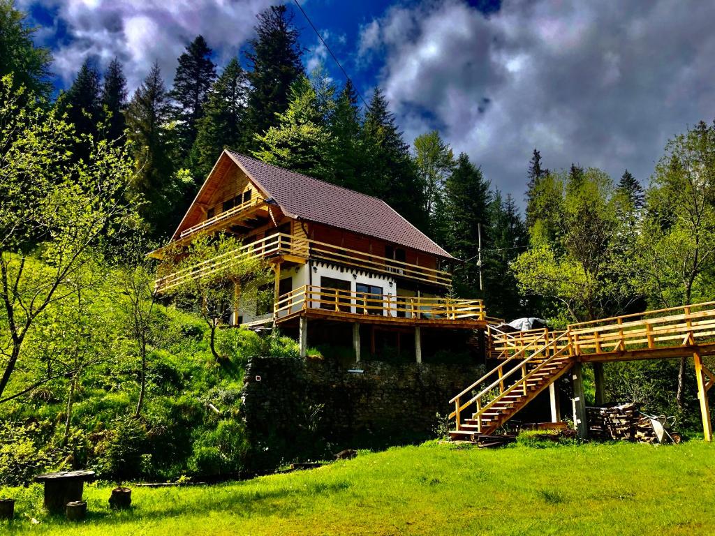 una gran casa de madera en una colina con árboles en Cabana Cota 1000 Arieseni, en Arieşeni