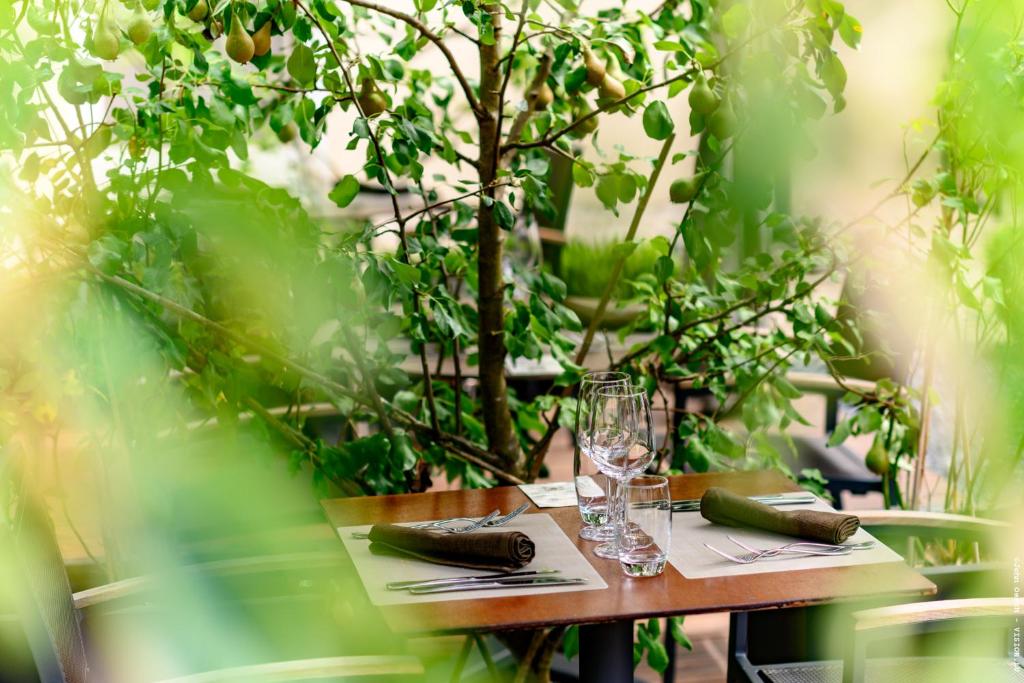 Zahrada ubytování Restauberge Peitry