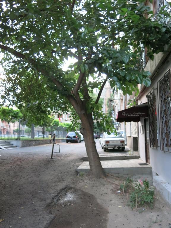 تصویر اتاق‌های RC on Sayat-Nova Avenue 18 - تصویر ۲