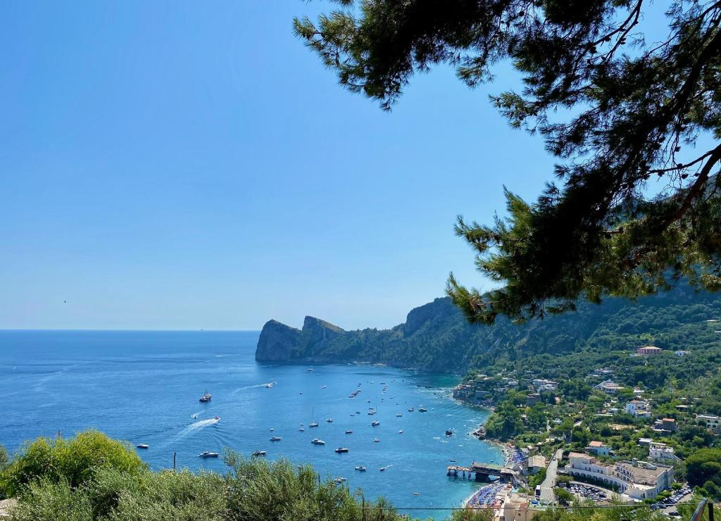 vista su una baia con barche in acqua di Villaggio Syrenuse Residence a Massa Lubrense