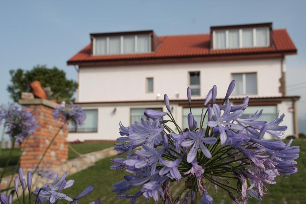 Un mazzo di fiori viola davanti a una casa di La Casuca de Mamina a Miengo