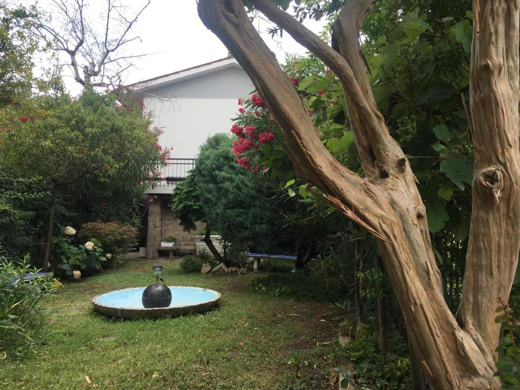 ein Vogelbad in einem Hof neben einem Baum in der Unterkunft Alla Rotonda dai Santi in Rovigo