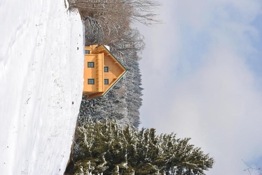 Ferienhaus Hochfelner during the winter