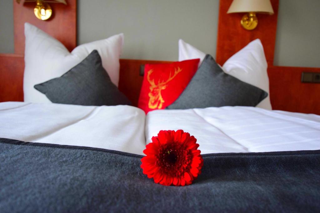 eine rote Blume auf einem Bett in der Unterkunft Landhotel Restaurant Deutsche Eiche in Grebenstein