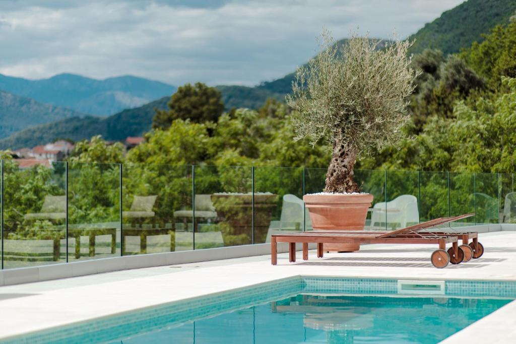a pool with a table and a potted tree next to a bench at Villa Roc Blanc in Tivat