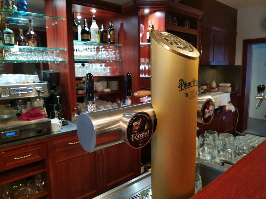 Lounge nebo bar v ubytování HOTEL SVRATKA