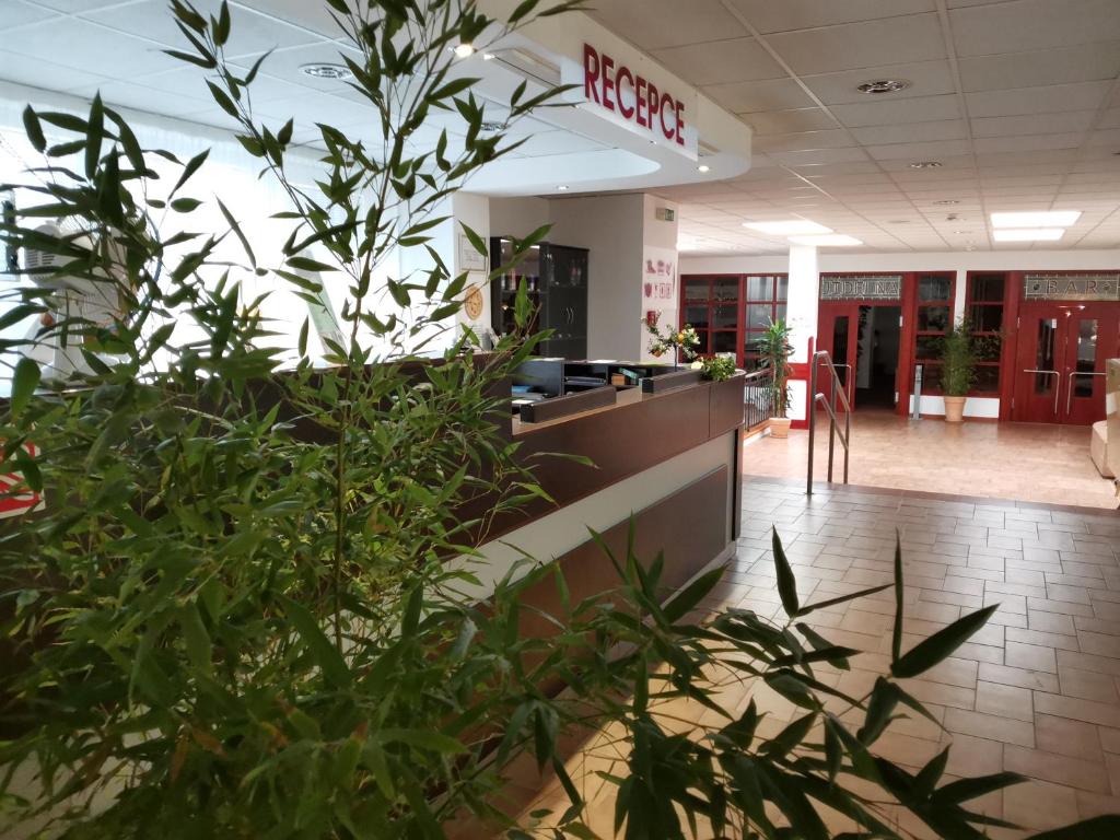 Vstupní hala nebo recepce v ubytování HOTEL SVRATKA