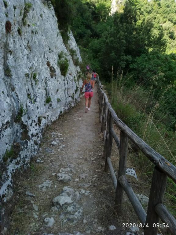 Przyroda w pobliżu tego apartamentu