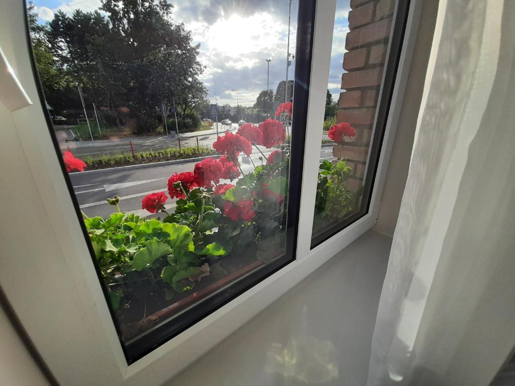 Aparthotel Jurowiecka 60 - 10