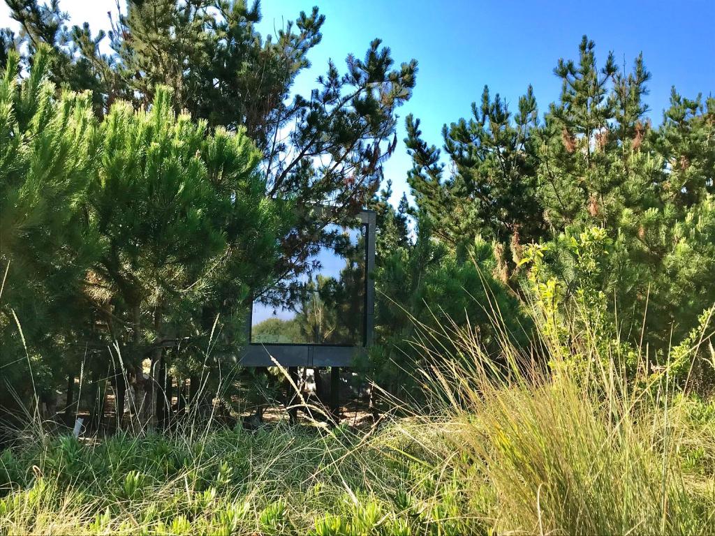 a mirror in the middle of a field with trees at Desertas Beach and Sport in Costa Nova