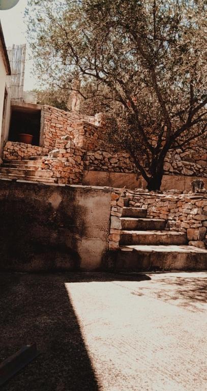 Fotografie z fotogalerie ubytování House Sardelić v destinaci Prigradica