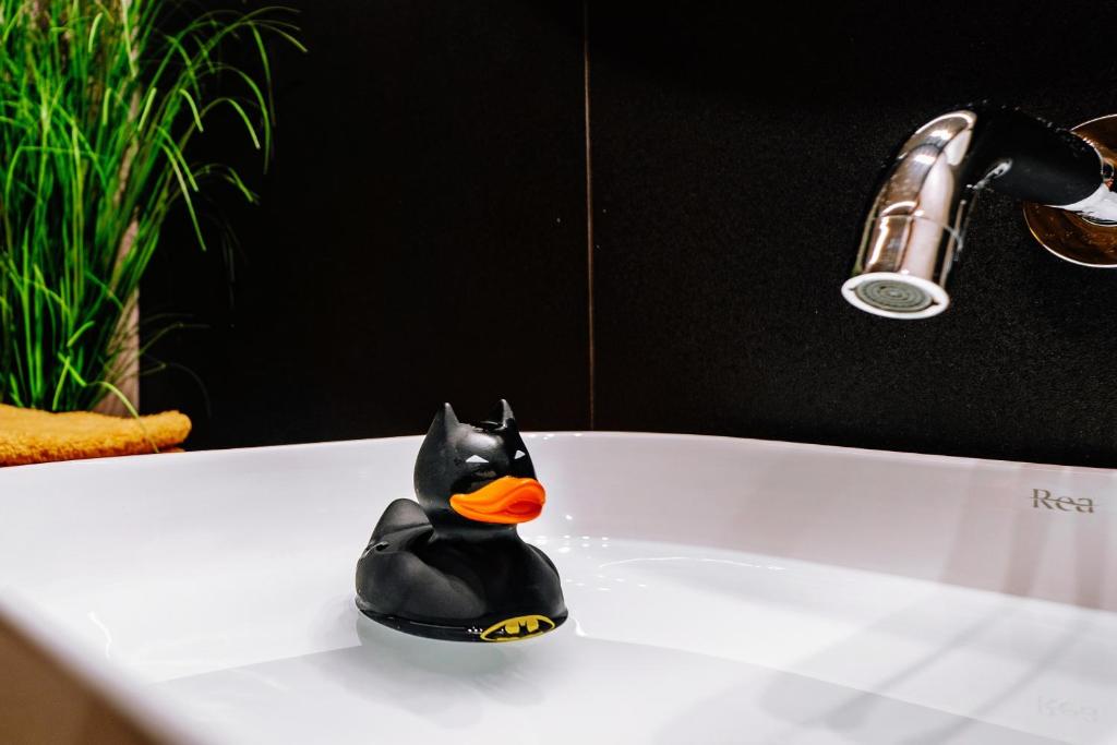 KOZAcki Kwadrat - 12