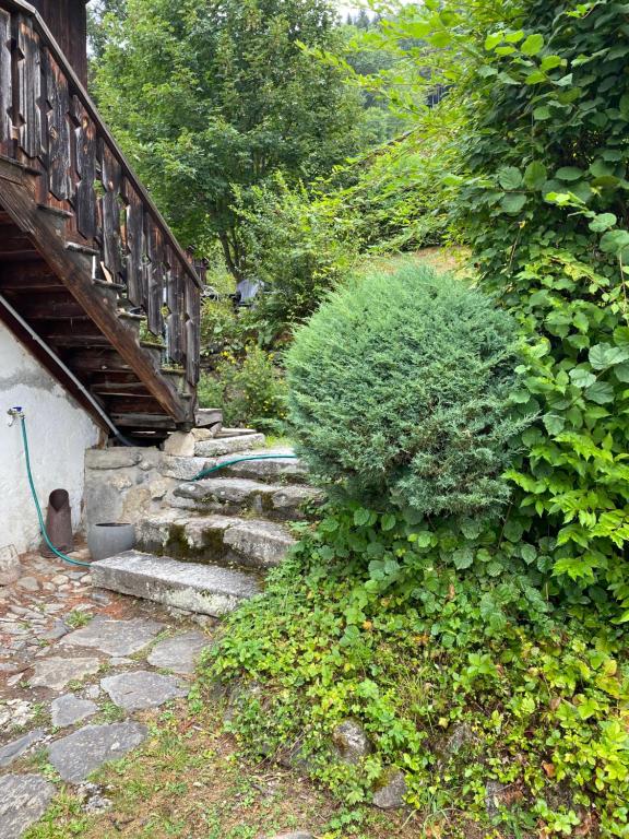 un conjunto de escaleras que conducen a una casa con un arbusto en Chalet Le Triollet, en Saint-Gervais-les-Bains