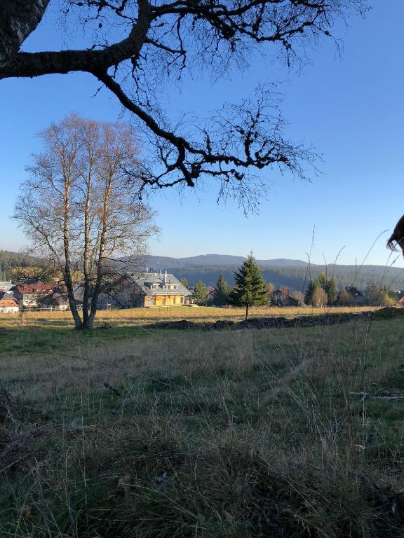 Příroda nedaleko apartmánu