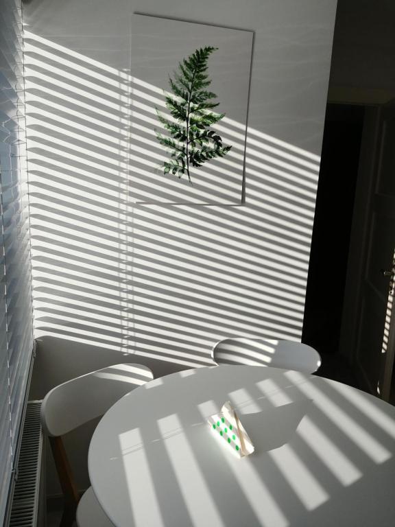 Apartament Zaciszny - Housity