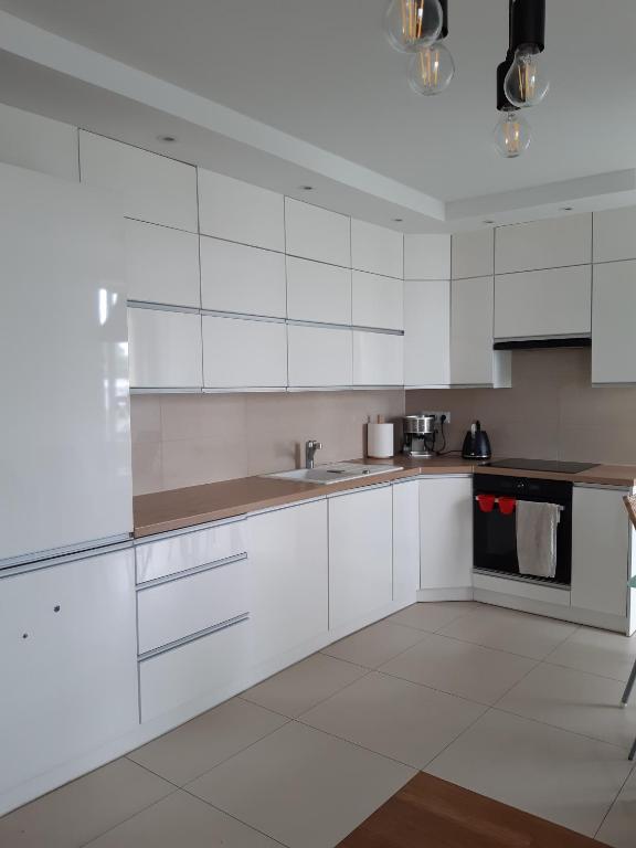 Kuchyňa alebo kuchynka v ubytovaní Sanshiro apartment