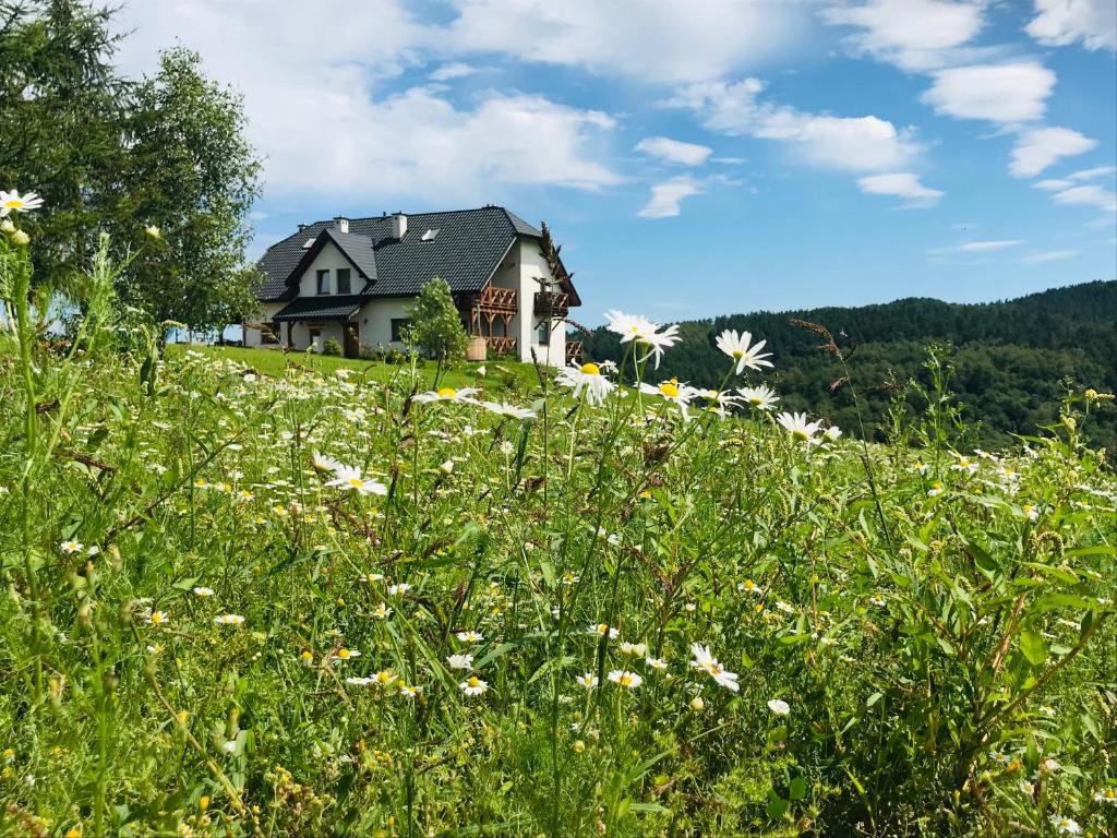 a house on a hill with a field of flowers at Wilcza Chata in Polańczyk