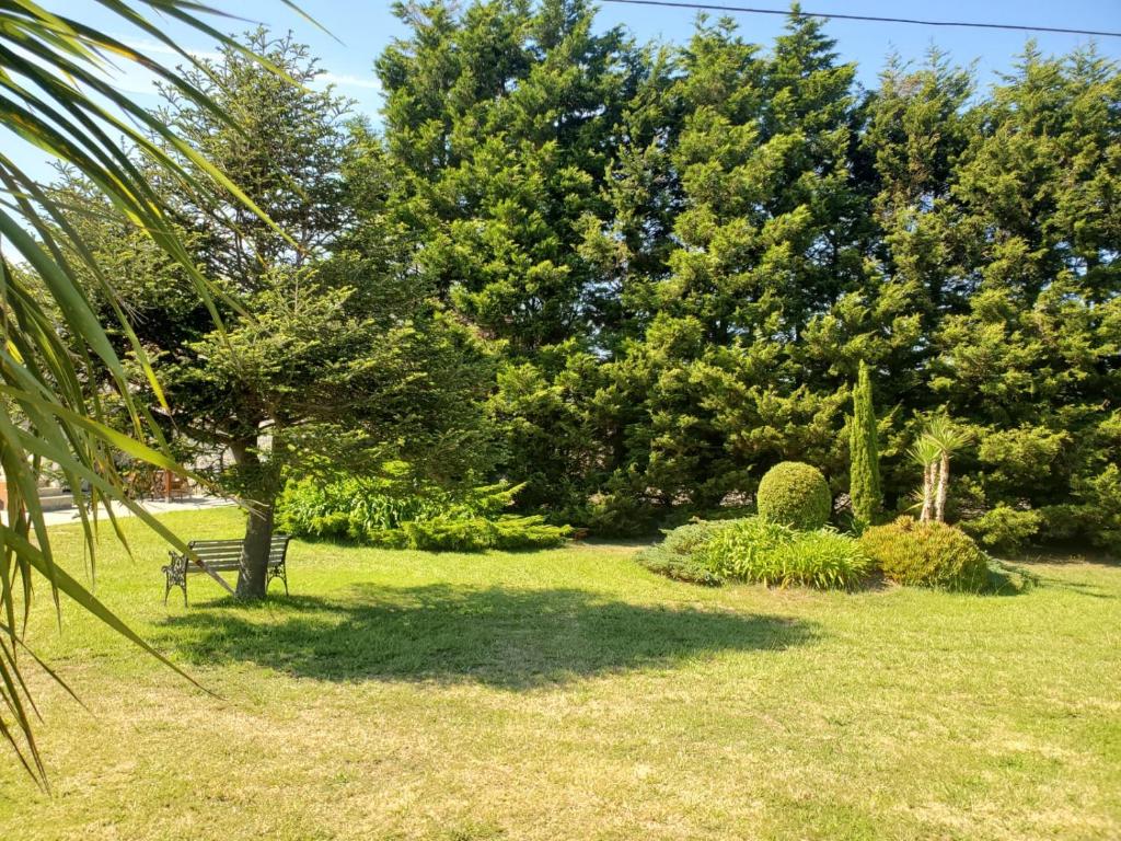 a park with a bench and trees and grass at Apartamentos Turísticos Rosa in Ribadeo