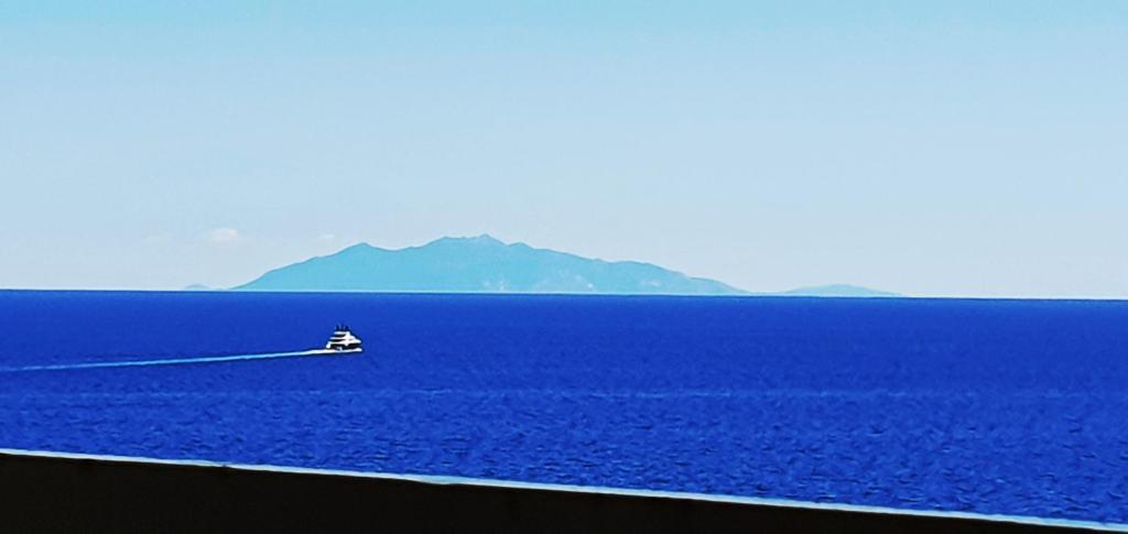 Le Panoramique.Vue mer.Bastia